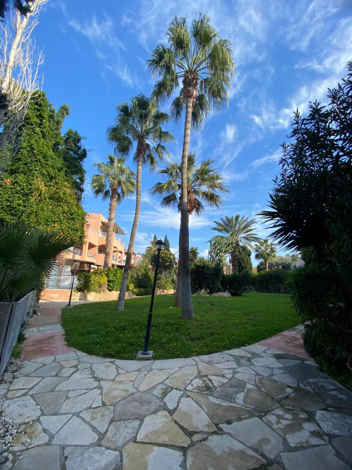Apartment Paradise 1 Bedroom Paphos